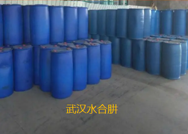 武漢水合肼.png